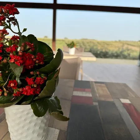 Penzion Baglio Eldama *